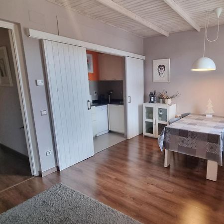 Apartment Sant Francesc โอลอต ภายนอก รูปภาพ